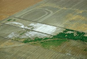 Salinity imparied land - Central Valley - ARS image library