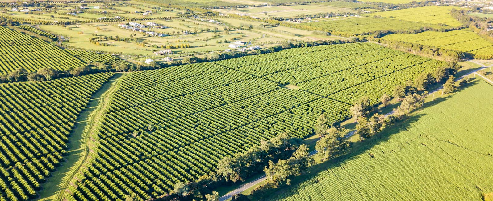 Farmland Conservation
