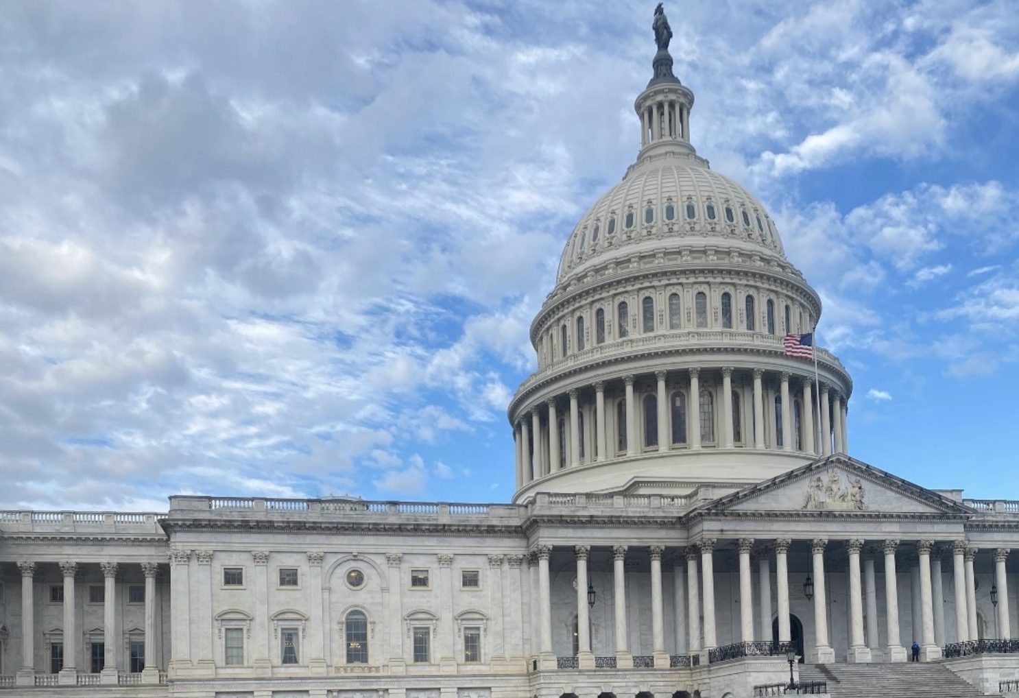 Policy Milestones & History
