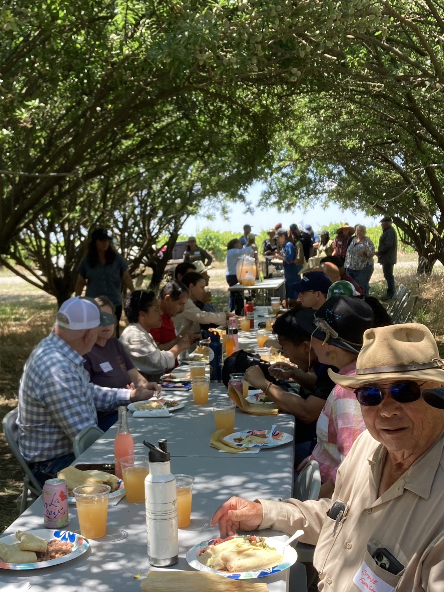 “Once you see that, you can never look back:” farmers and researchers share compost and soil health benefits at field days