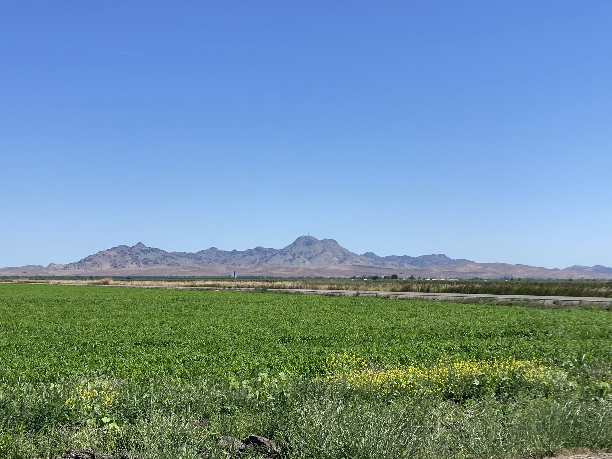 Rising economic and climate pressures drive regenerative practices, innovation, and collaboration