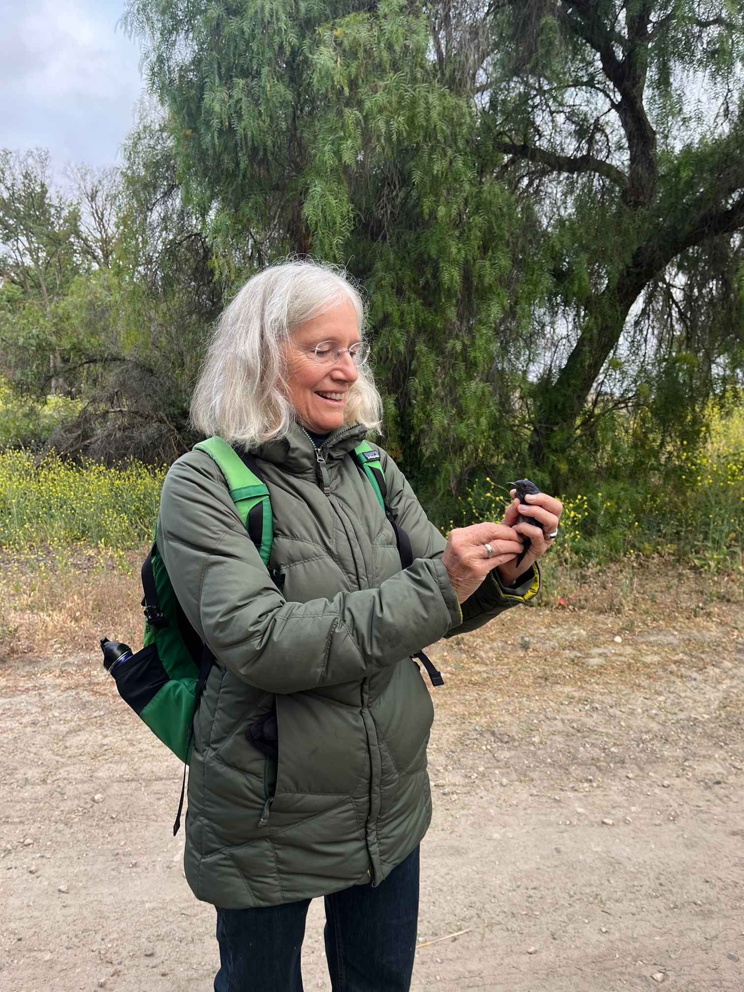 CalCAN Stewardship Council Profile: Jo Ann Baumgartner