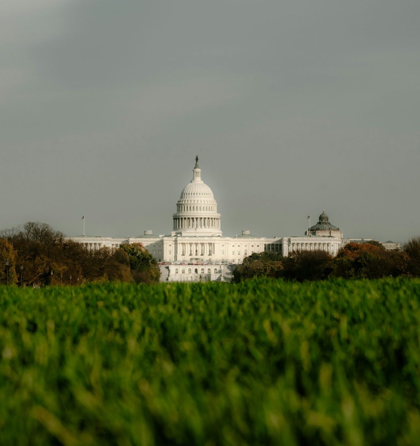 Congressional Update: COWS Act Reintroduced as Senate Farm Bill Talks Continue