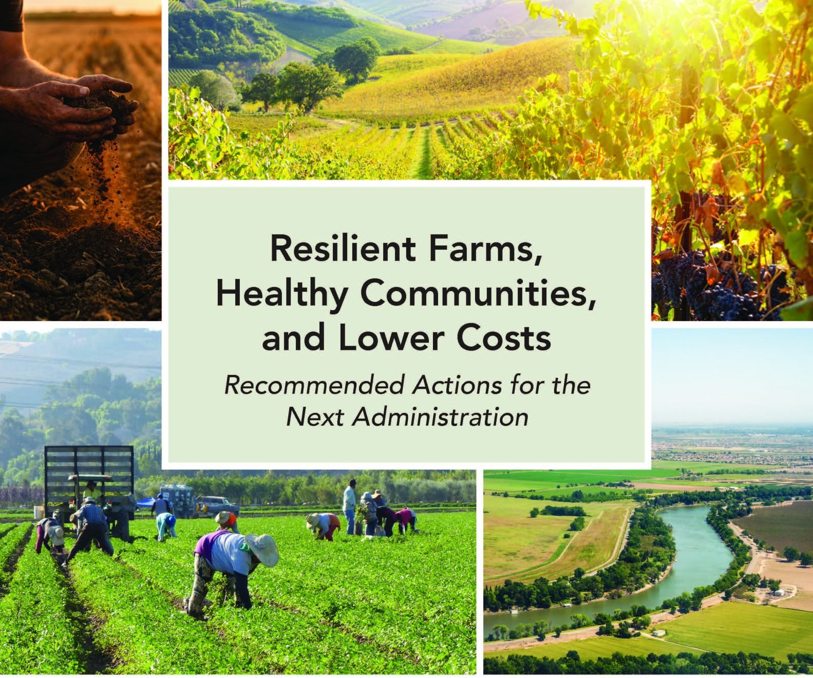 CalCAN Releases Recommendations  for the Next Governor and Administration